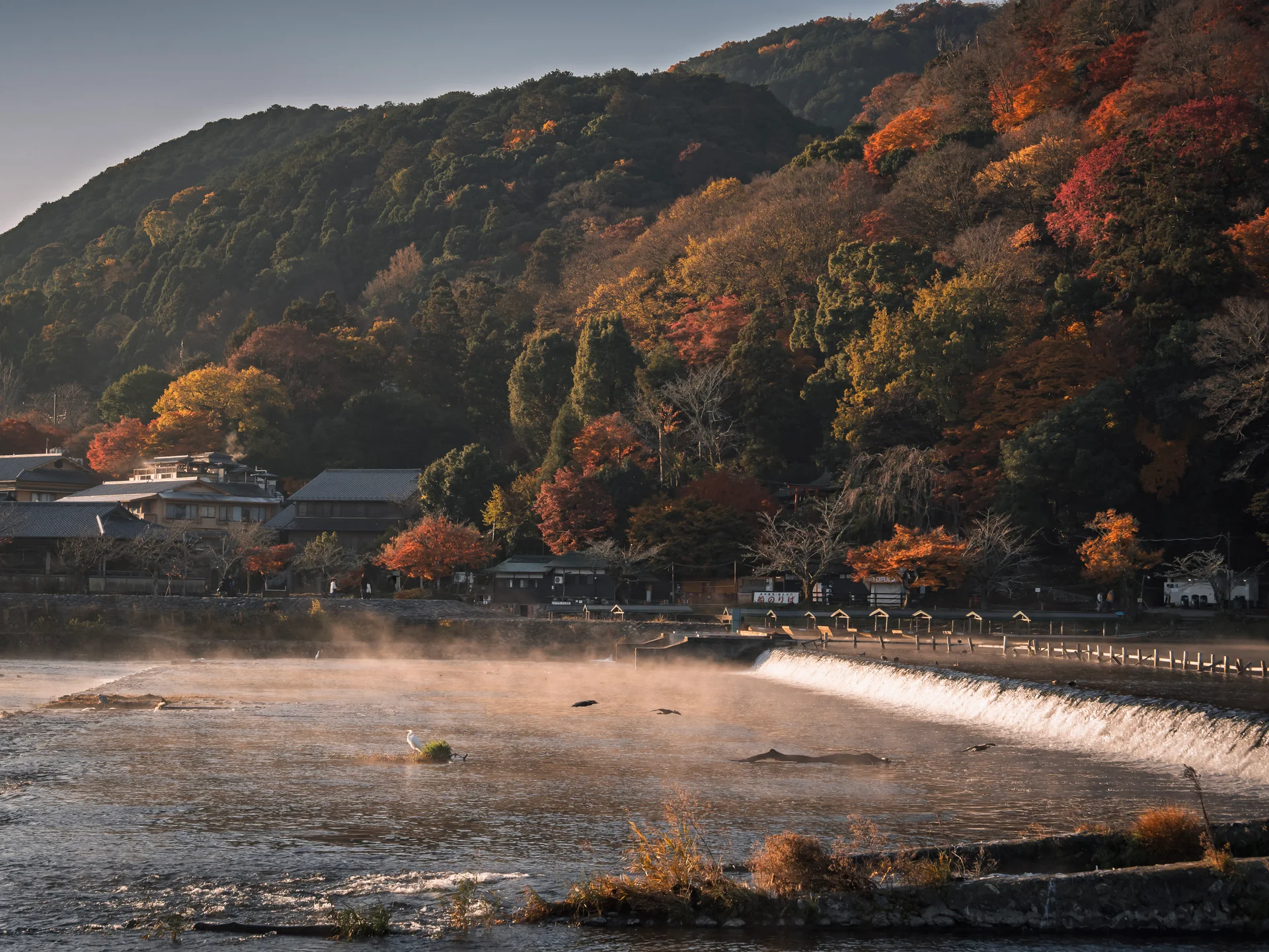 秋日山林與河岸旅宿景色